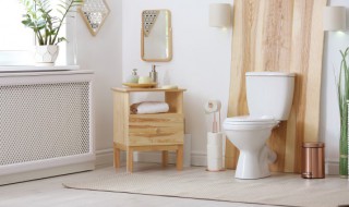 卫生间什么物件好看又好看 适合卫生间的耐看物件