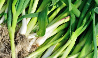 新鲜大蒜须怎么凉拌才好吃 新鲜大蒜须凉拌的做法