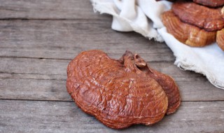 灵芝可以直接泡水喝吗 可以将灵芝泡水饮用吗