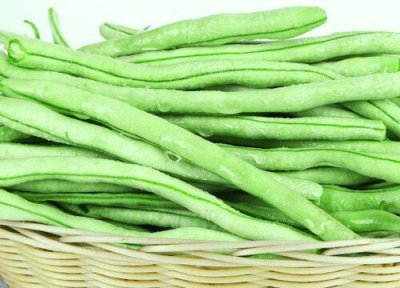 架豆角种植技术 架豆角种植技术与管理