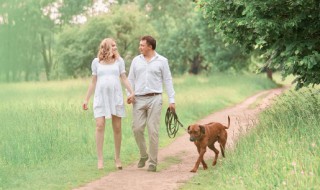 狗狗生跳蚤怎么办 狗狗有跳蚤了怎么办