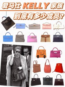 凯莉包是什么牌子 爱马仕的KELLY包都有哪些成员