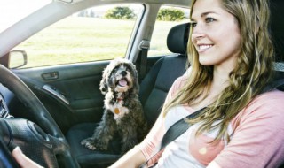 怎么判断车子车身位置 判断车子车身位置的方法