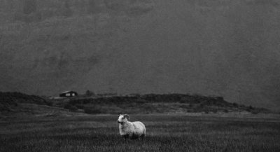 老公不爱你的五种表现 如何看出丈夫不爱妻子