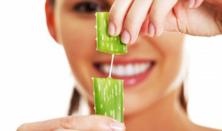 生吃芦荟的好处和坏处 生吃芦荟有哪些好处和坏处