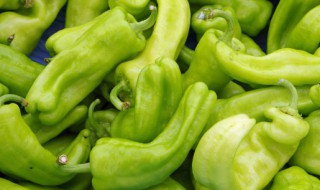 吃青辣椒的好处与坏处 吃青辣椒对身体有什么好处与坏处
