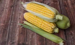 玉米冰冻煮多久才熟 冰冻玉米煮多长时间能熟