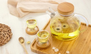 能不能喝隔夜的菊花茶 隔夜的菊花茶还能继续饮用吗