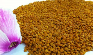 茶花粉过期了有什么用途 茶花粉过期了有哪些用途