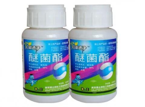 醚菌酯能防治什么病害