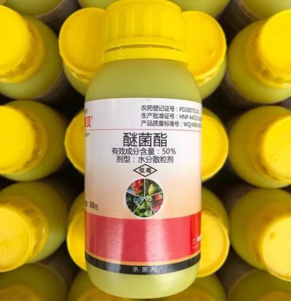 醚菌酯能防治什么病害