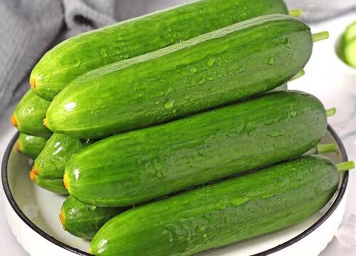 玻璃大棚适合种植什么样的蔬菜