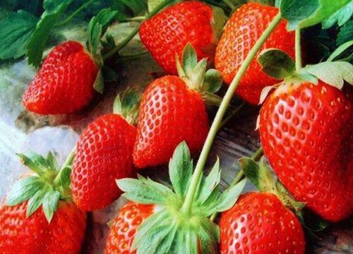 玻璃大棚适合种植什么样的蔬菜