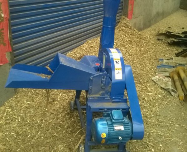 养牛的利润与成本计算