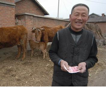 养牛的利润与成本计算