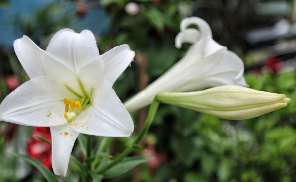 很喜欢一个人但是不能在一起感觉