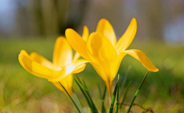 很喜欢一个人但是不能在一起感觉