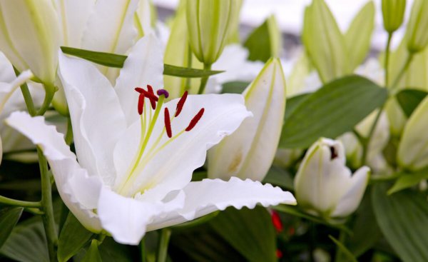 很喜欢一个人但是不能在一起感觉