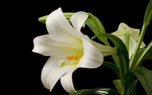 很喜欢一个人但是不能在一起感觉