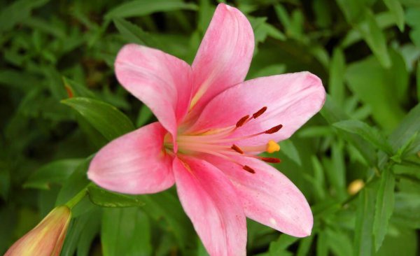 很喜欢一个人但是不能在一起感觉