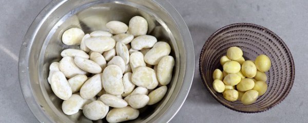 白芸豆能减肥吗