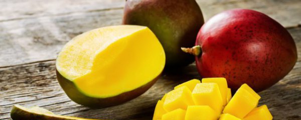 冬天芒果种子怎么种植