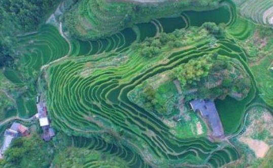 中国最大的省有多大面积