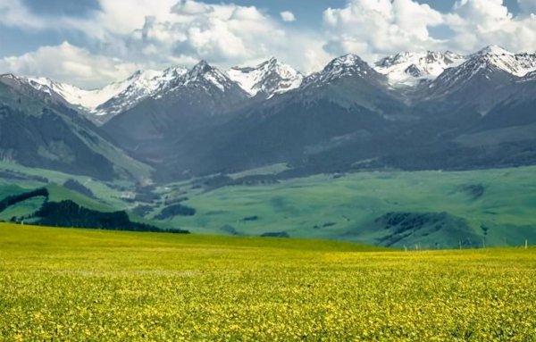 中国最大的省有多大面积