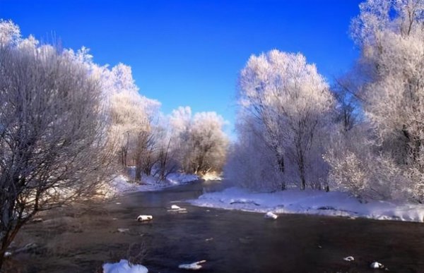 中国最大的省有多大面积