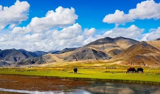 中国最大的省有多大面积