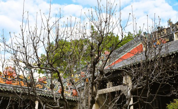 陈家祠属于哪个区