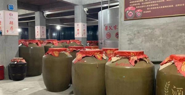 国内粮食酒有哪些牌子