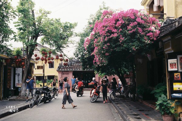越南现状的状况