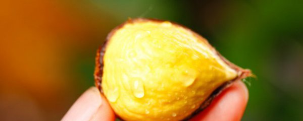 吃生板栗的好处