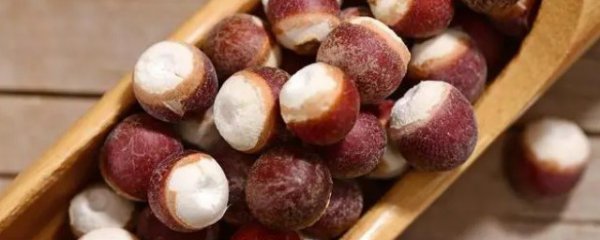 芡实有什么功效