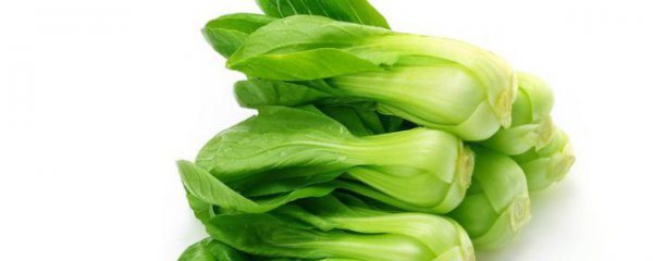 小油菜能生吃吗