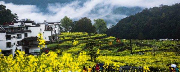 婺源几月份去最好