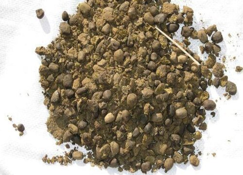 羊粪如何养绣球花爆满花