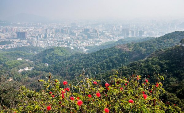 广州市白云山多高