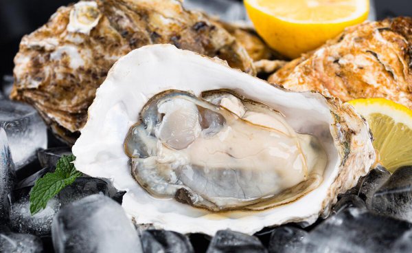 带壳生蚝蒸多久才熟