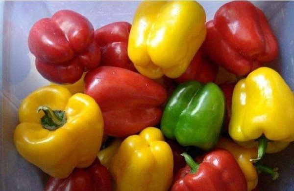 越夏甜椒怎么提高座果率