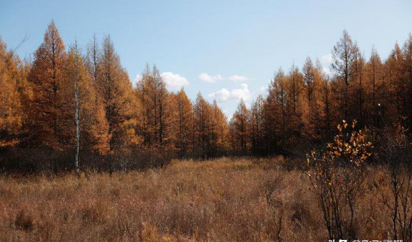 中国最冷的城市是哪一个