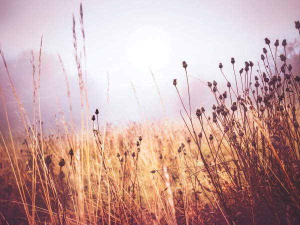 一段失败的婚姻的感悟