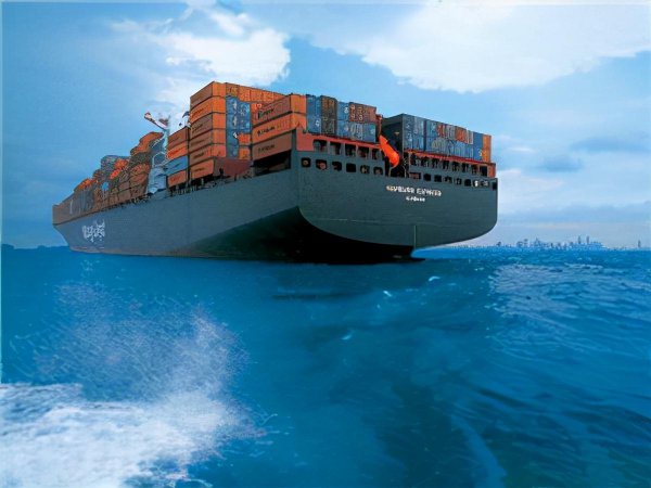 货代是干什么的工作岗位