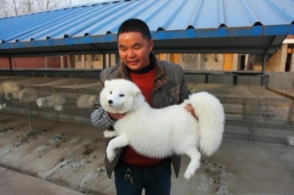 农村做什么生意赚钱投资不大