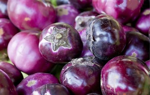 茄子常温保存还是放冰箱冷藏好