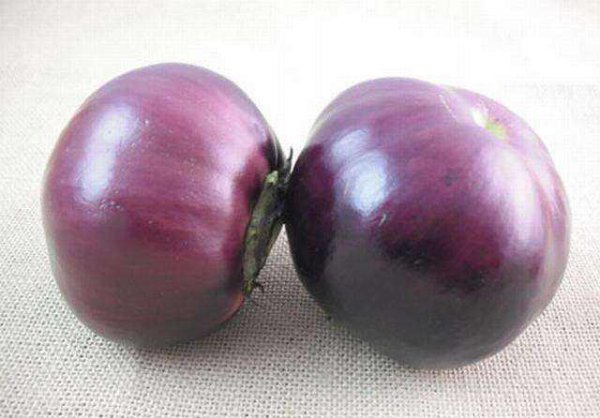 茄子常温保存还是放冰箱冷藏好