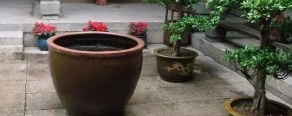 庭院水缸摆放讲究什么