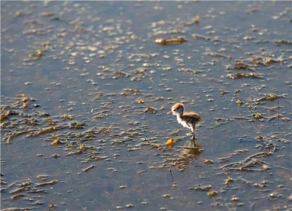 烂泥扶不上墙比喻什么样的人
