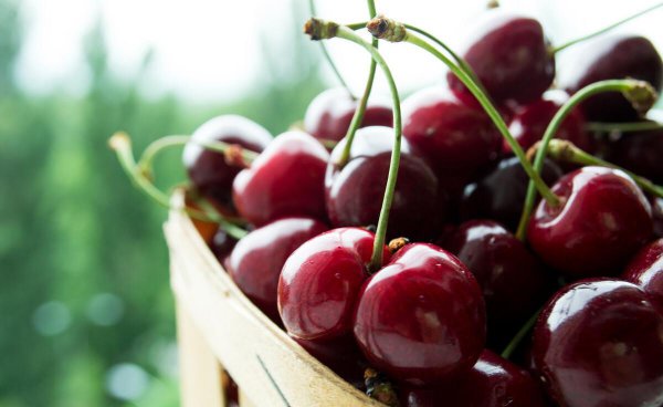 车厘子大小等级图